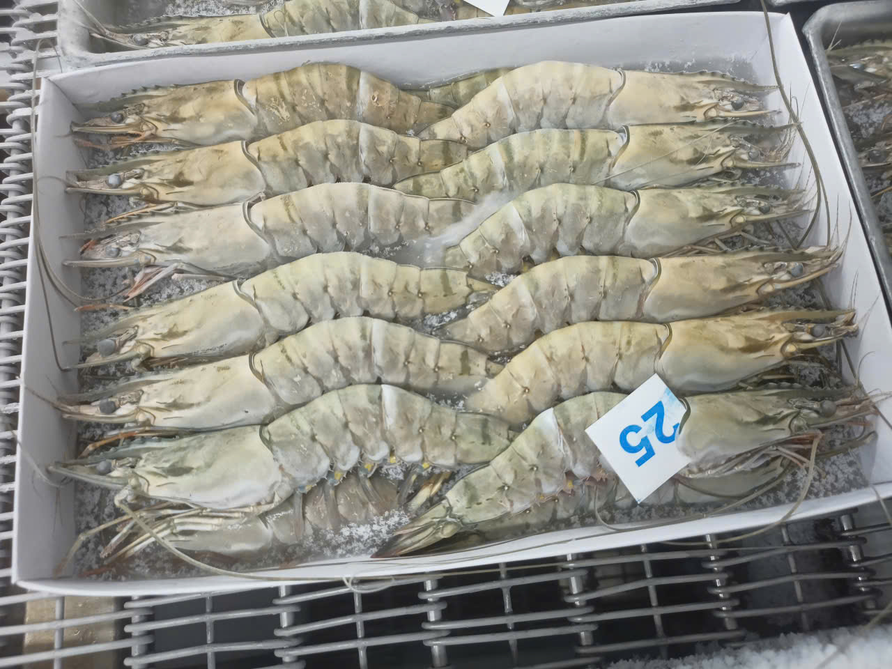 z7634106645305_8c9f01efeeb42ebe2de70a4b202963cc