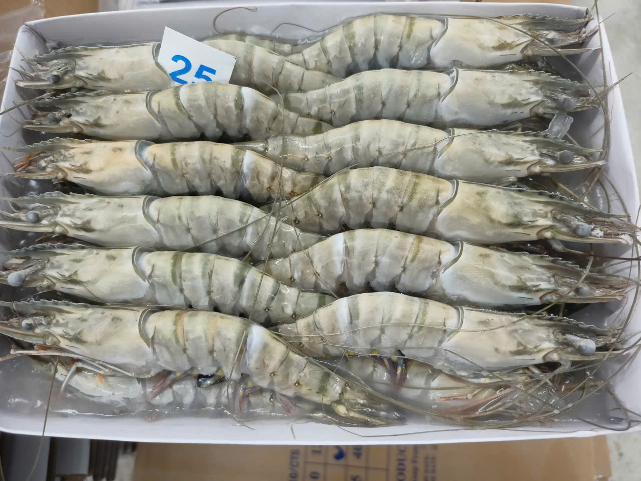 z7634566392337_6b27dc22993d71f882034270eaaffbcf