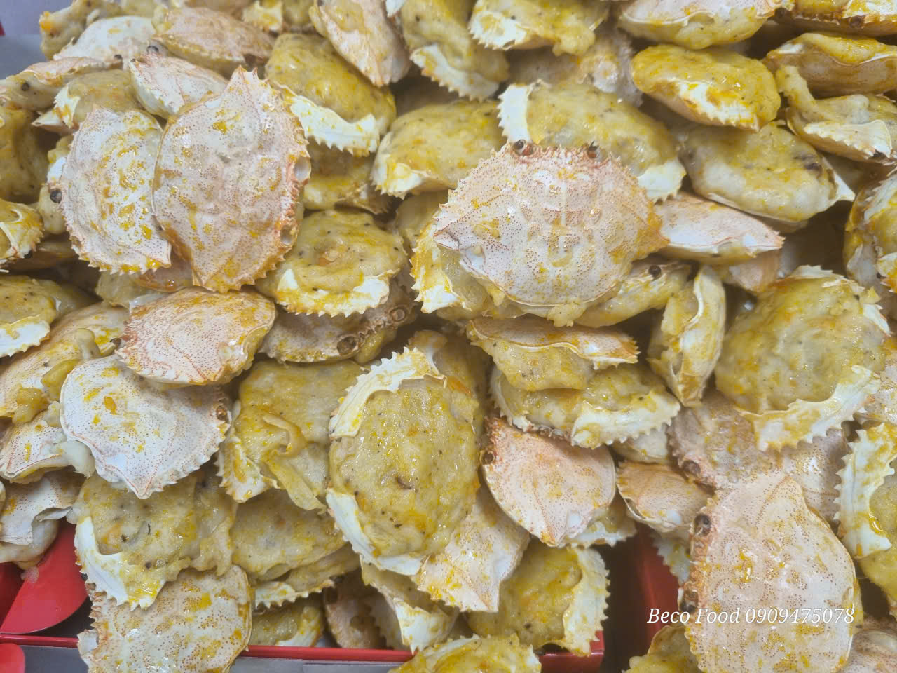 z7642696485682_bb1cf53036ea59d8eb0e7e400323619a