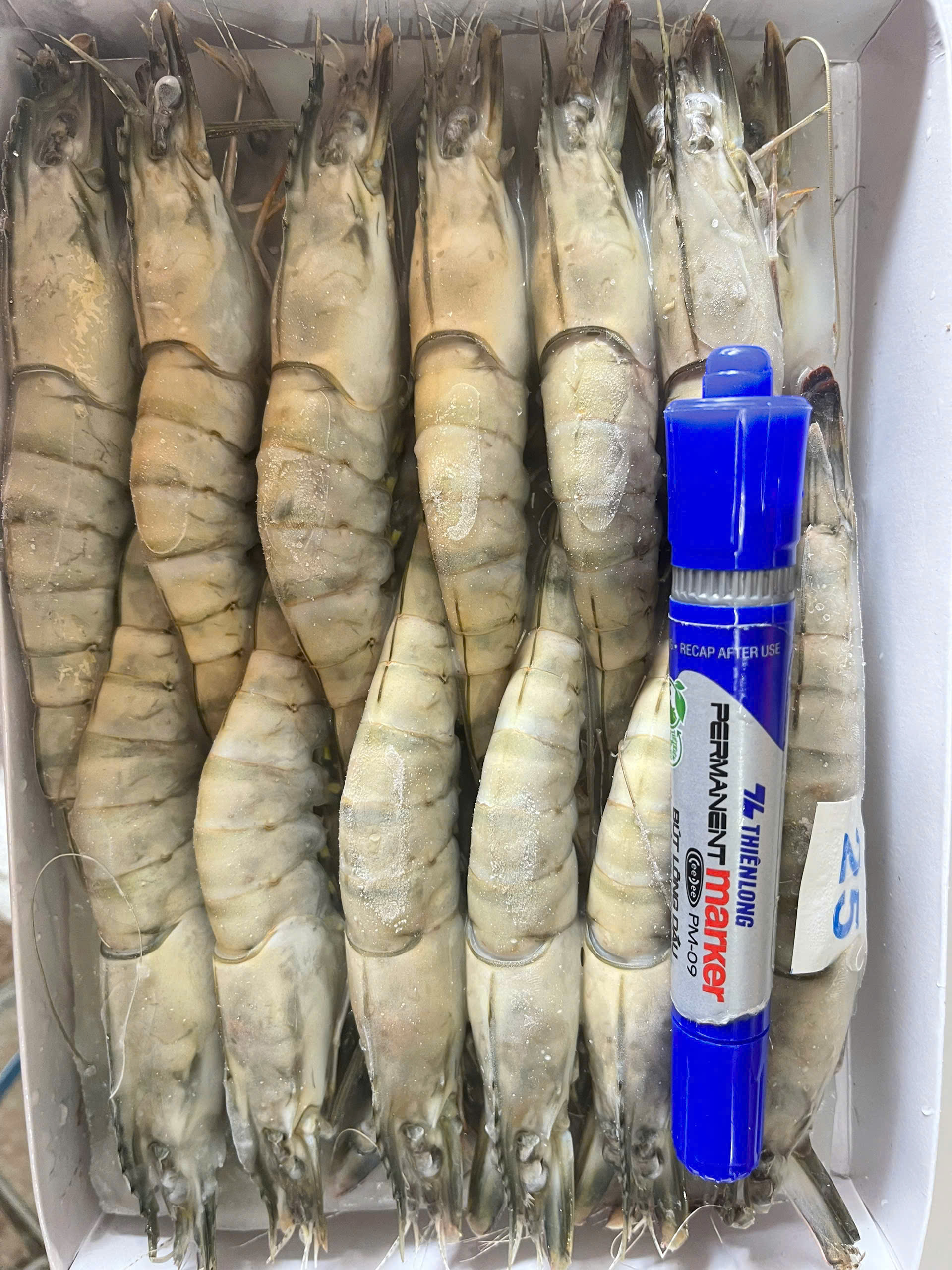 z7672972607200_20b6bb27f053f835fcf1b827cb34f379