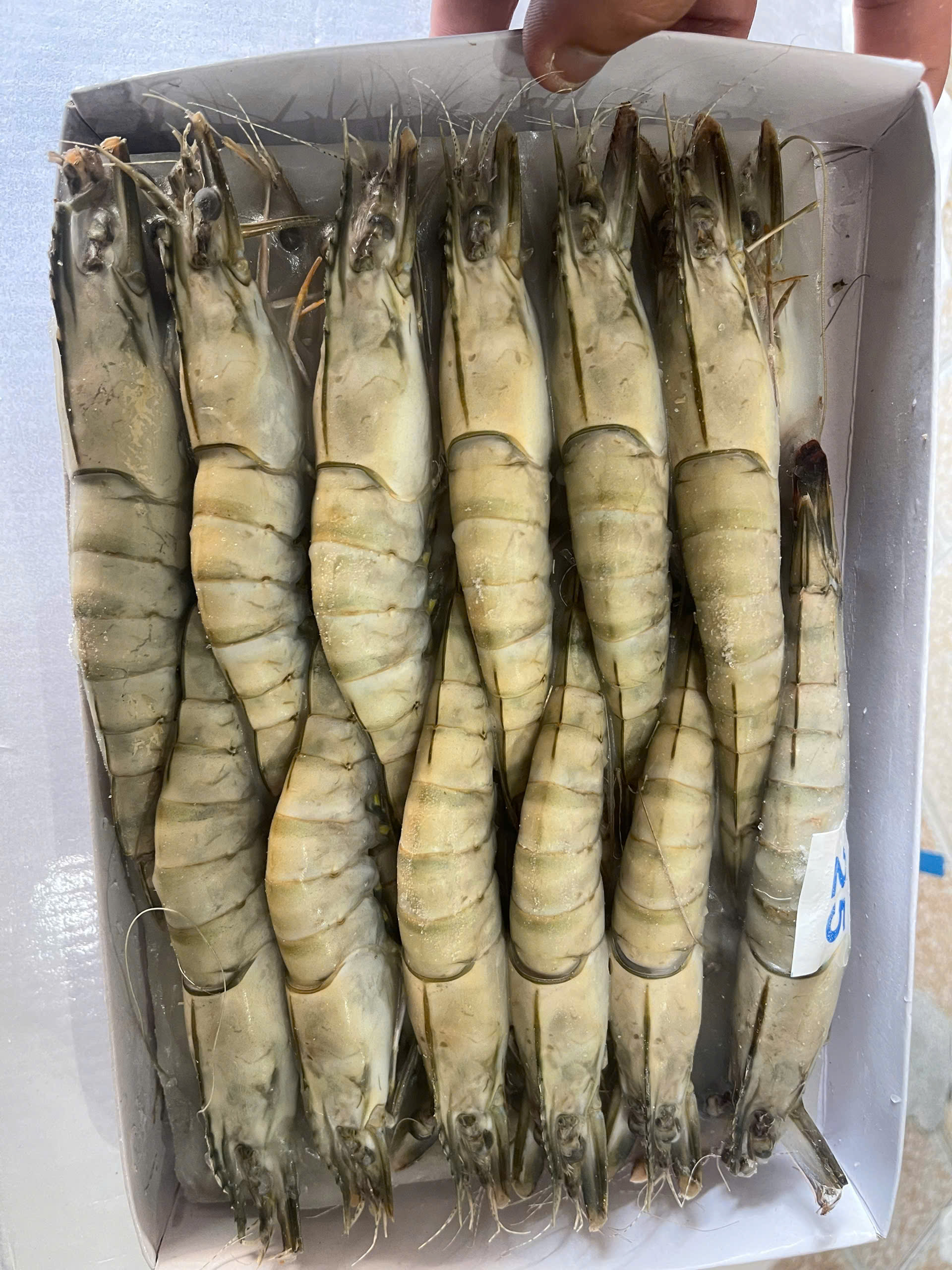 z7672972631077_156522943d5fbb58bb534523bf240f9c