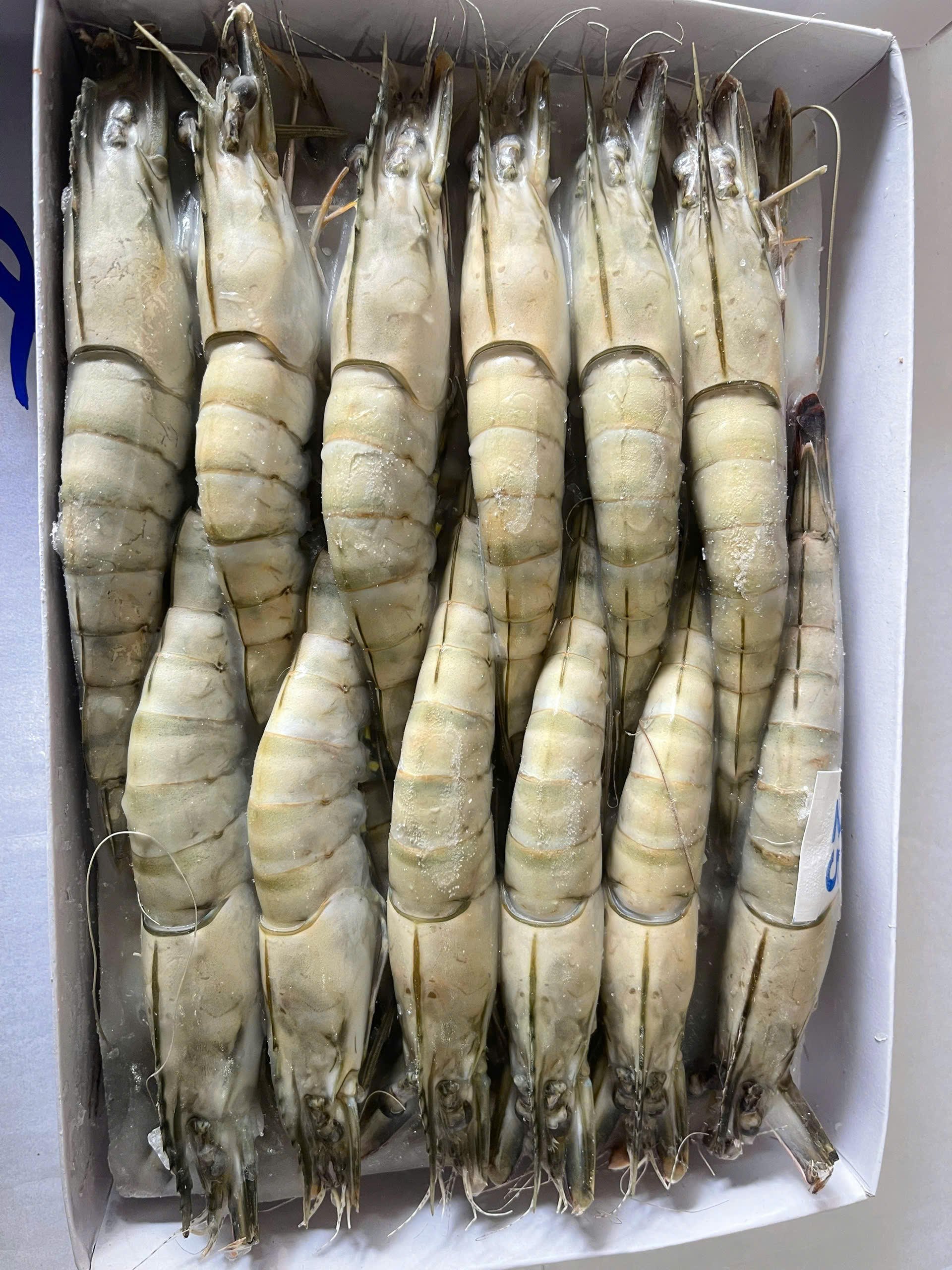 z7672972633465_3d13c97cd5c7219e219bc490b4555fd5