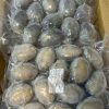 Bào ngư size 16-20 con ( Trung Quốc)