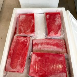 Cá ngừ đại dương đông lạnh cắt khúc (Saku)