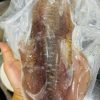 Mực lá size 500gr up ( MINO)