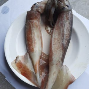 Mực ống size 200-300gr