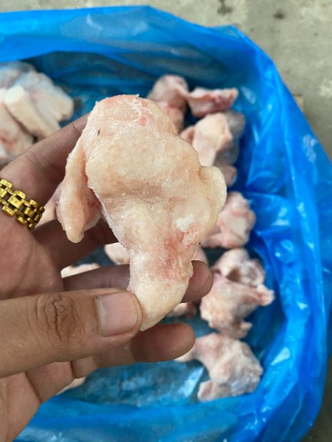 Tỏi Cánh Gà1