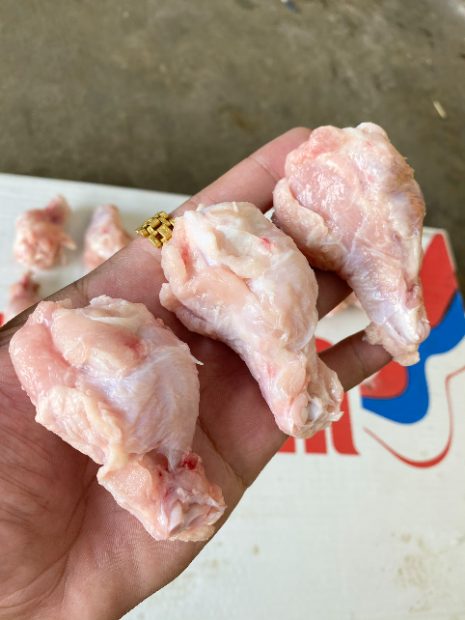 Tỏi Cánh Gà2
