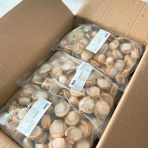 Cồi sò điệp hấp size 60-80con/kg