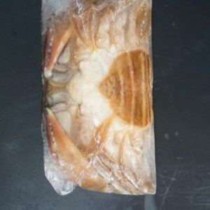 Cua lọt size 6-7 (MYANMAR)
