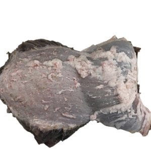 Sách bò đen Omasum Úc nhìn từ mặt ngoài, còn lớp màng mỡ trắng bao quanh